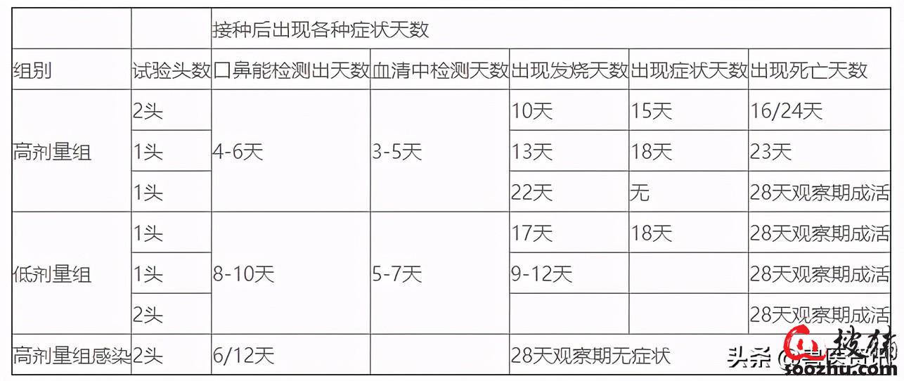 江南平台app体育非瘟间隙性排毒、无症状感染如何早发现及处理？