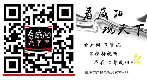 江南app体育【咸阳重点项目观摩】国内最先进的生产技术引领PC建筑科技 年产能2(图4)